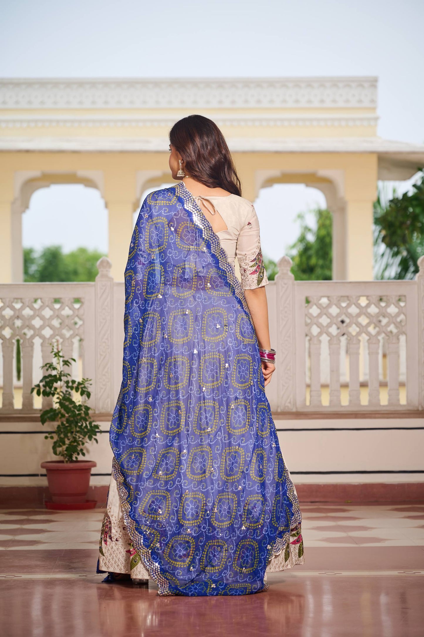 Festival Lehenga Choli 👗
