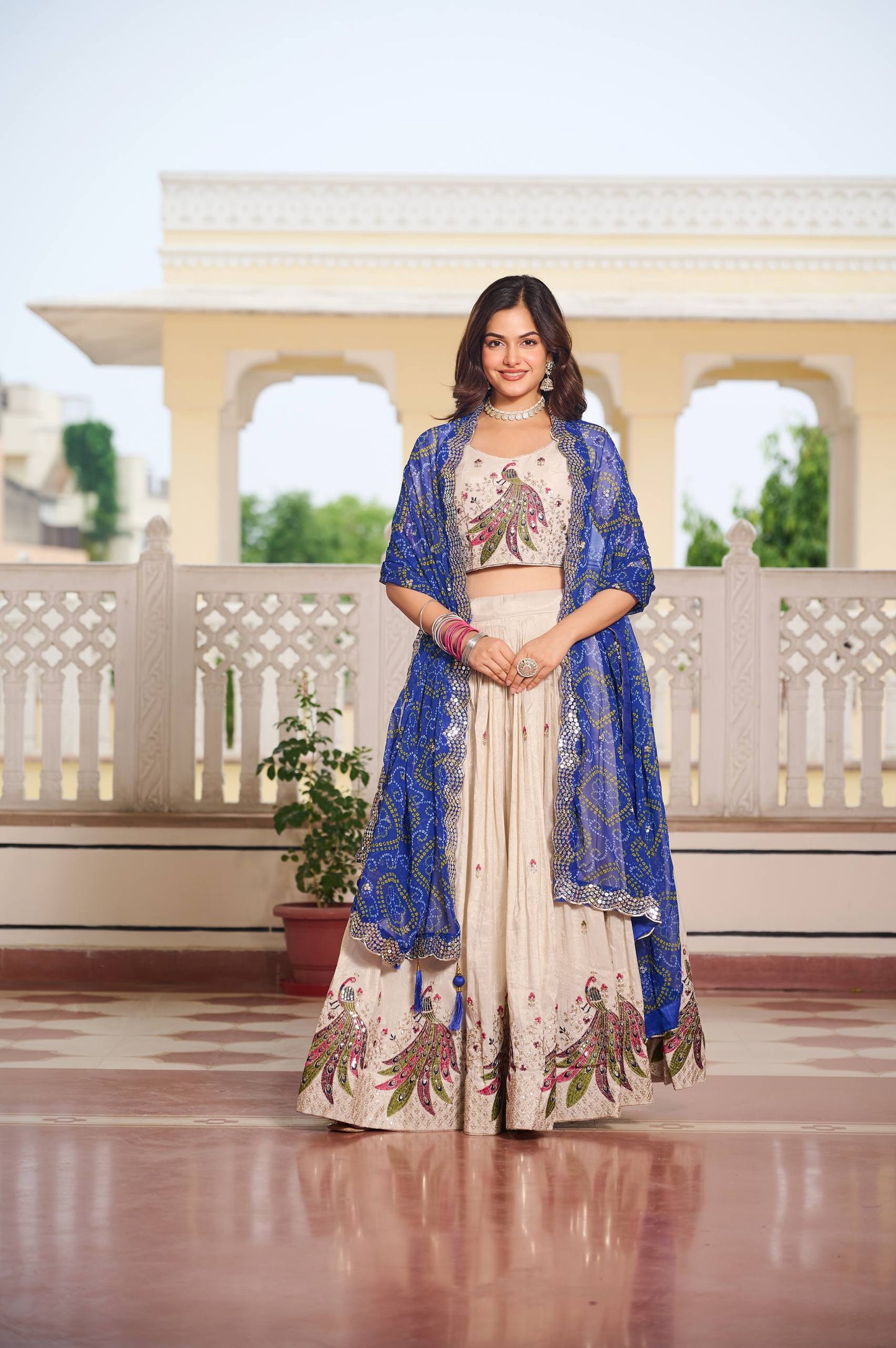 Festival Lehenga Choli 👗
