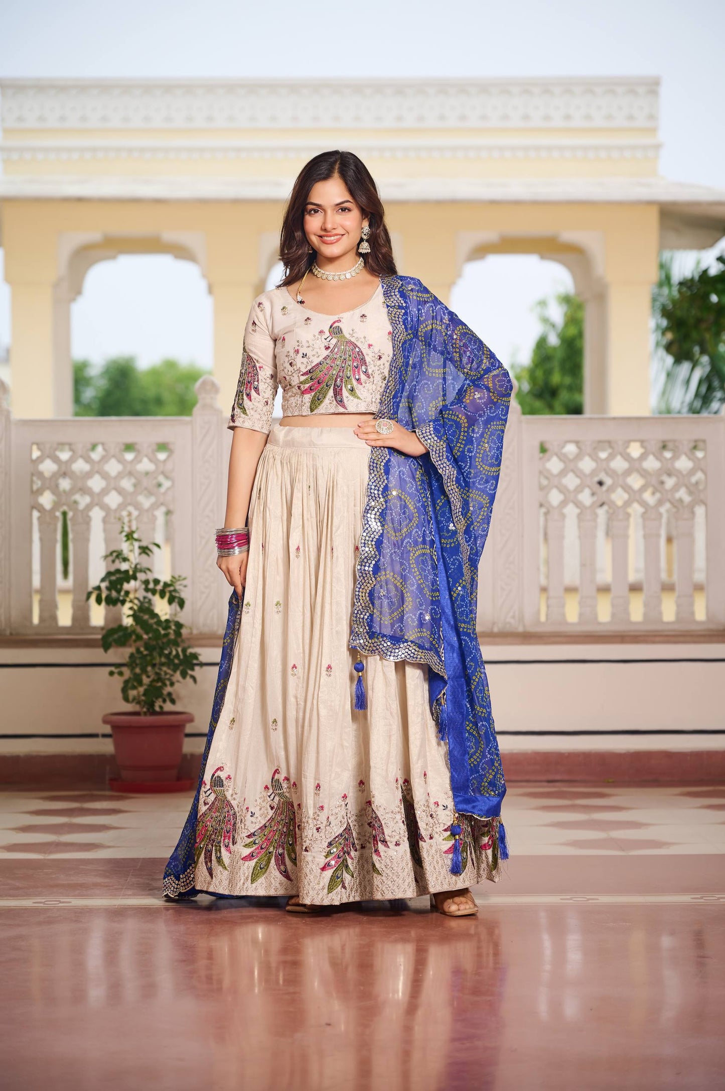 Festival Lehenga Choli 👗