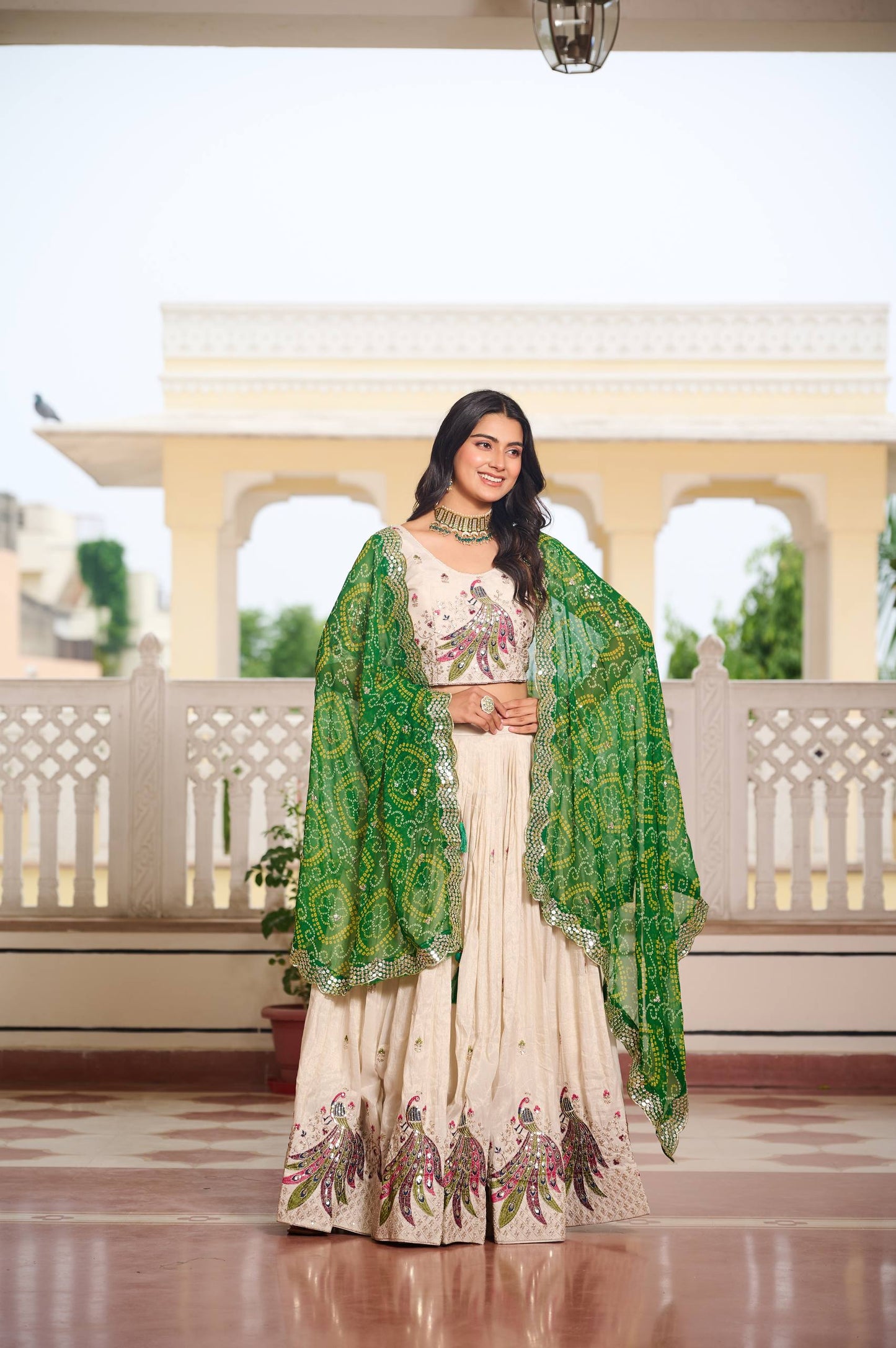 Festival Lehenga Choli 👗